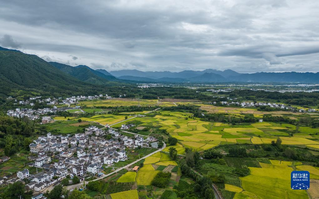 玖信平台